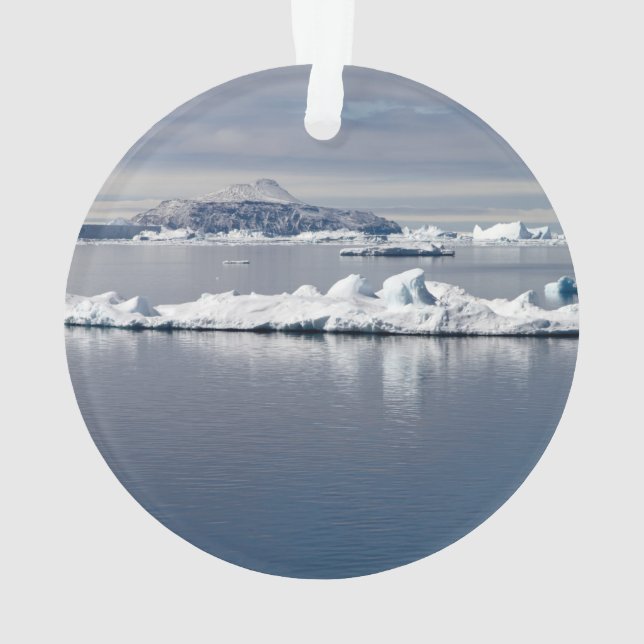 Antarctica landscape ornament (Back)