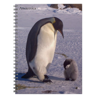 Antarctica Mother penguin caresses baby Notebook