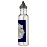 https://rlv.zcache.com/antarctica_nasa_blue_marble_imagery_stainless_steel_water_bottle-rd5f4b853bd454edbbc44b61ede529501_zl58x_200.jpg?rlvnet=1