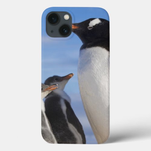 Antarctica Neko Cove Harbor Gentoo penguin 2 iPhone 13 Case