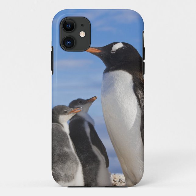 Antarctica, Neko Cove (Harbour). Gentoo penguin 2 Case-Mate iPhone Case (Back)