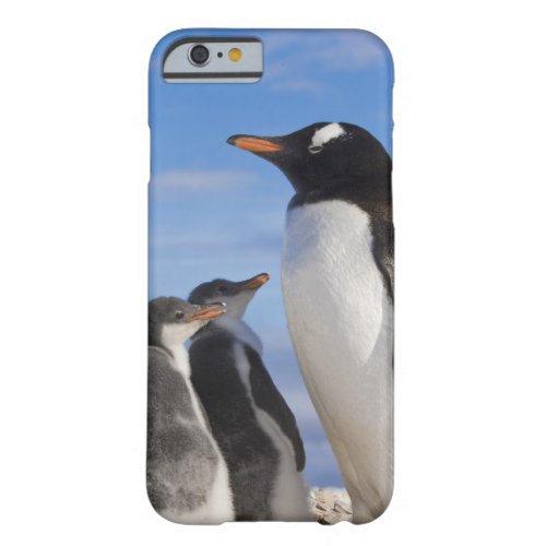 Antarctica Neko Cove Harbour Gentoo penguin 2 Barely There iPhone 6 Case