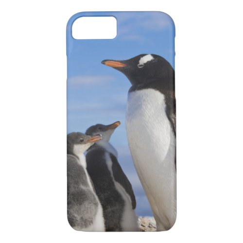Antarctica Neko Cove Harbour Gentoo penguin 2 iPhone 87 Case