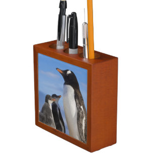 Antarctica, Neko Cove (Harbour). Gentoo penguin 2 Desk Organizer