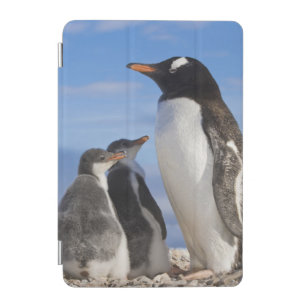 Antarctica, Neko Cove (Harbour). Gentoo penguin 2 iPad Mini Cover