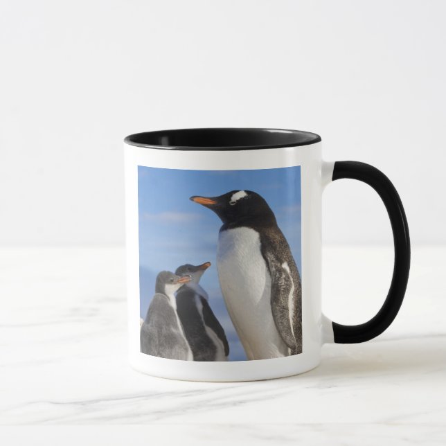 Antarctica, Neko Cove (Harbour). Gentoo penguin 2 Mug (Right)