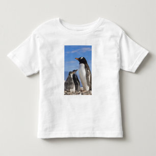 Antarctica, Neko Cove (Harbour). Gentoo penguin 2 Toddler T-shirt