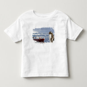 Antarctica, Neko Cove (Harbour). Gentoo penguin Toddler T-shirt