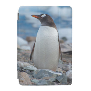 Antarctica. Neko Harbor. Gentoo Penguin iPad Mini Cover