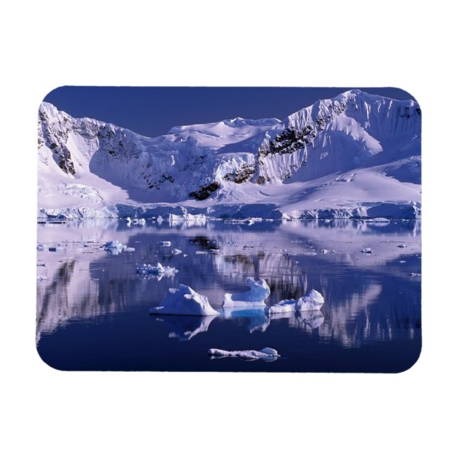 Antarctica, Paradise Bay Magnet (Horizontal)