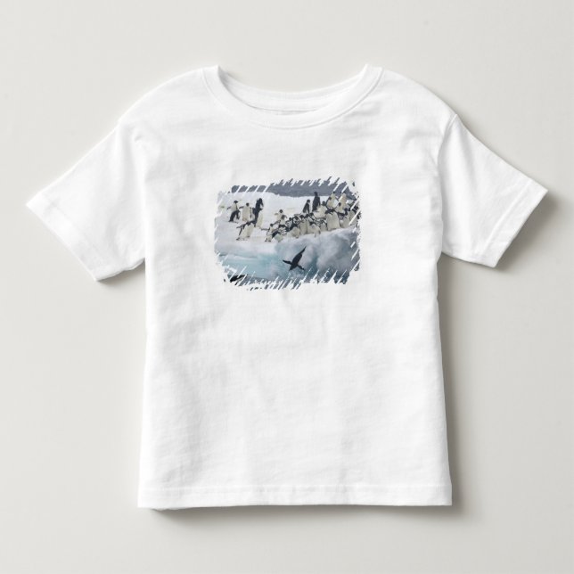 Antarctica, Paulet Island. Adelie penguins Toddler T-shirt (Front)