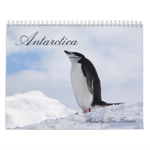 Antarctica Penguins Calendar