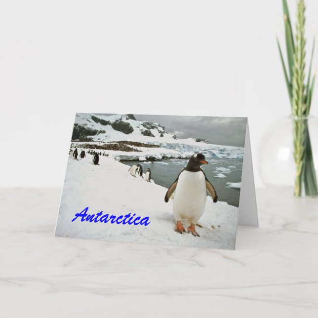 Antarctica Penguins Greetings Card (Front)