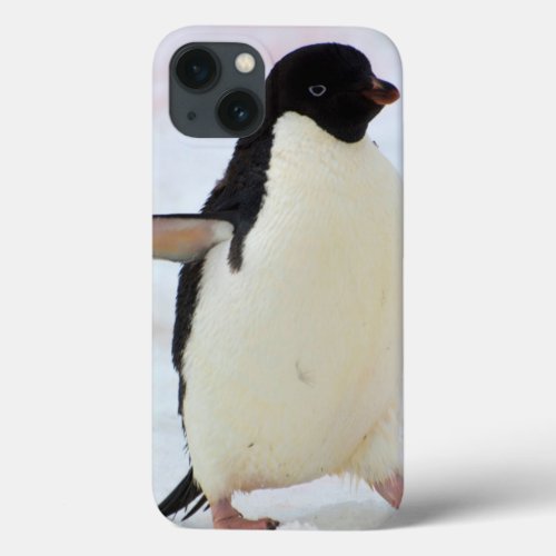 Antarctica Petermann Island Adelie penguin iPhone 13 Case