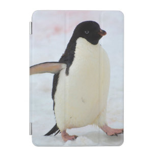 Antarctica. Petermann Island. Adelie penguin iPad Mini Cover