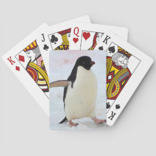 Antarctica. Petermann Island. Adelie penguin Poker Cards