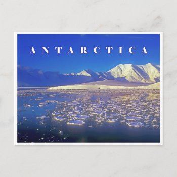 Antarctica Postcard by leksele at Zazzle