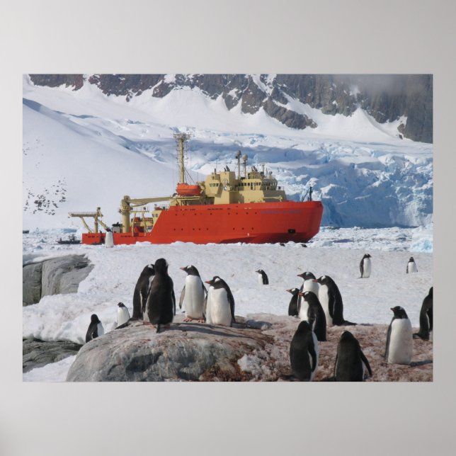 Antarctica Poster (Front)