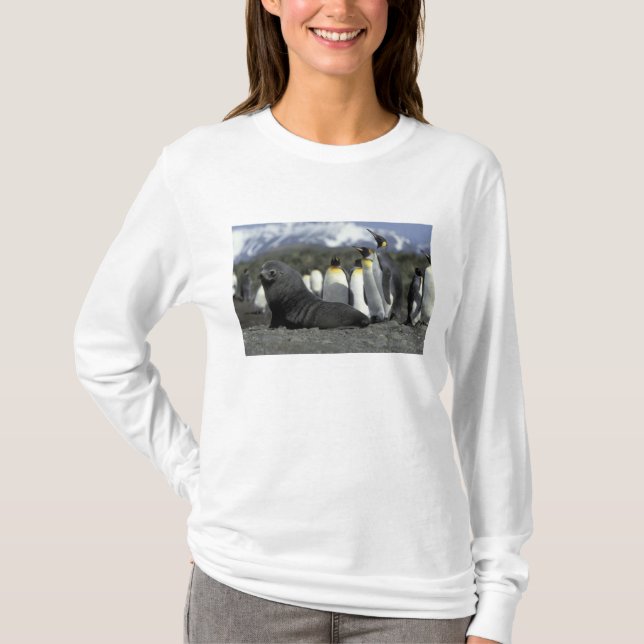 Antarctica, South Georgia Island. Antarctic fur T-Shirt (Front)