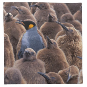 Antarctica, South Georgia Island, King penguins Cloth Napkin