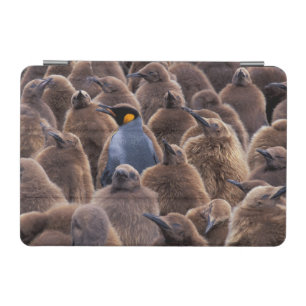 Antarctica, South Georgia Island, King penguins iPad Mini Cover