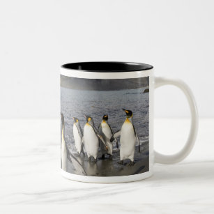 Antarctica, South Georgia Island (UK), Antarctic 2 Two-Tone Coffee Mug