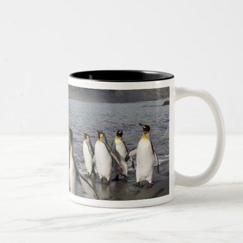 Antarctica South Georgia Island UK Antarctic 2 Two_Tone Coffee Mug