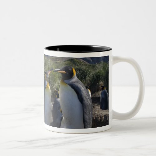 Antarctica South Georgia Island UK King 6 Two_Tone Coffee Mug