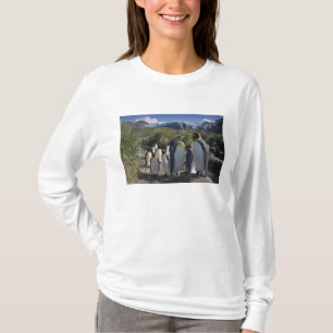 Antarctica, South Georgia Island UK), King T-Shirt