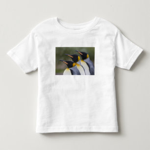 Antarctica, South Georgia Island UK), King Toddler T-shirt