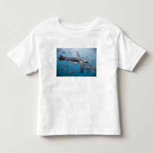 Antarctica, South Georgia Island UK Toddler T-shirt