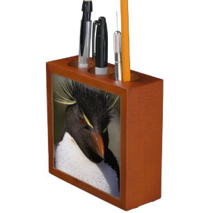 Antarctica, Sub-Antarctic Islands, South 5 Desk Organizer