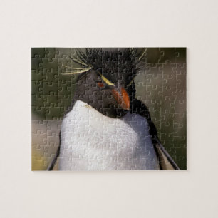 Antarctica, Sub-Antarctic Islands, South 5 Jigsaw Puzzle