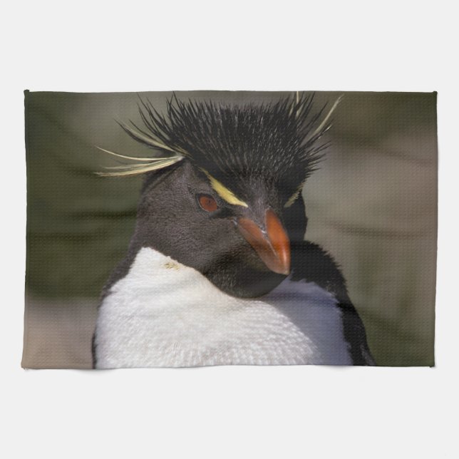 Antarctica, Sub-Antarctic Islands, South 5 Kitchen Towel (Horizontal)