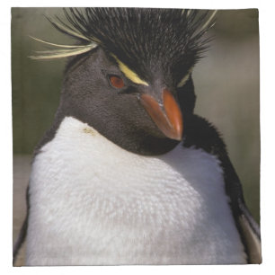 Antarctica, Sub-Antarctic Islands, South 5 Napkin