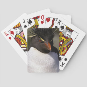 Antarctica, Sub-Antarctic Islands, South 5 Poker Cards