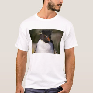 Antarctica, Sub-Antarctic Islands, South 5 T-Shirt