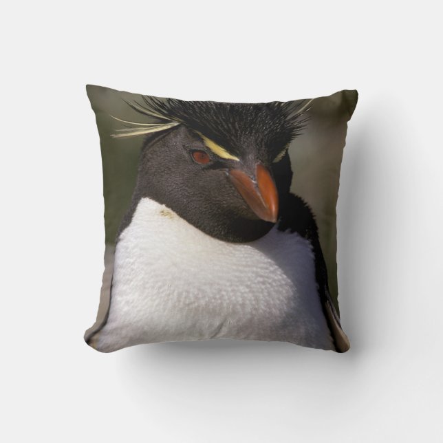 Antarctica, Sub-Antarctic Islands, South 5 Throw Pillow (Front)