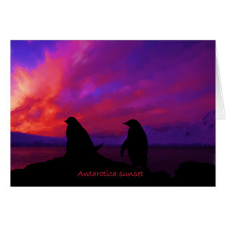 Antarctica Sunset card