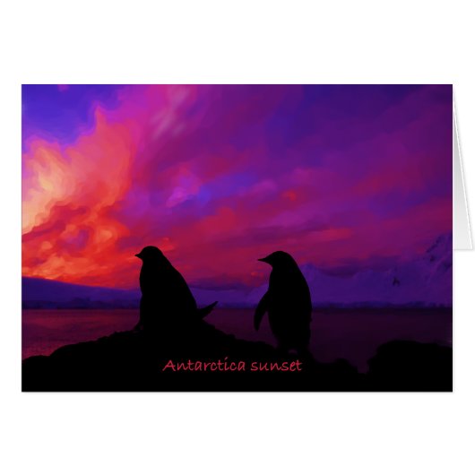 Antarctica Sunset card (Front Horizontal)