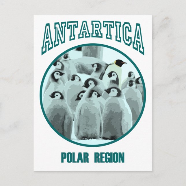 Antartica Postcard (Front)
