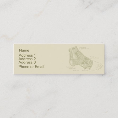 Antatomy Foot Business Card