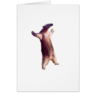 Anteater Cards