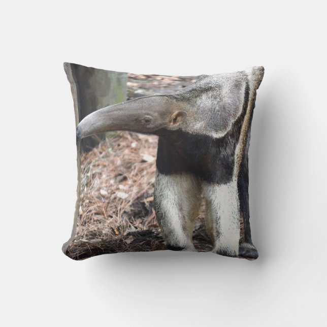 anteater nose raised wild animal image picture throw pillow (Front)