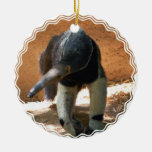 Anteater Ornament at Zazzle