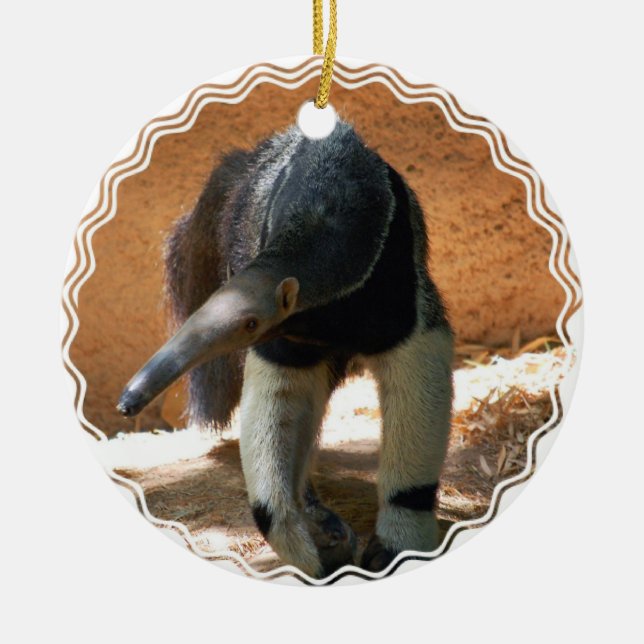 Anteater Ornament (Front)