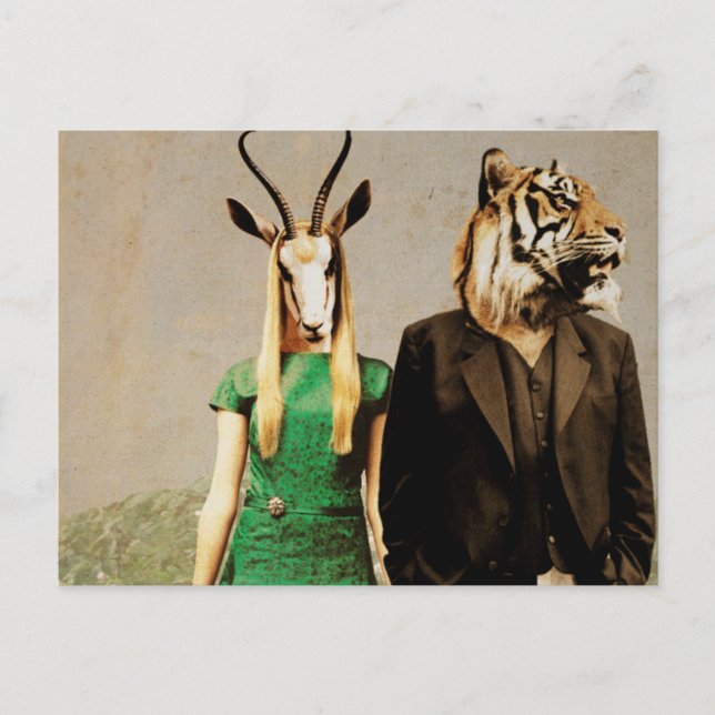 Antelope and the Tiger Postcard (Front)