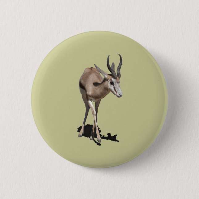 Antelope Baby Button (Front)