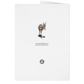 Antelope Baby Cards (Back)