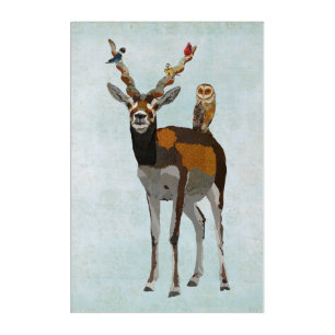 ANTELOPE & FEATHERS ACRYLIC PRINT